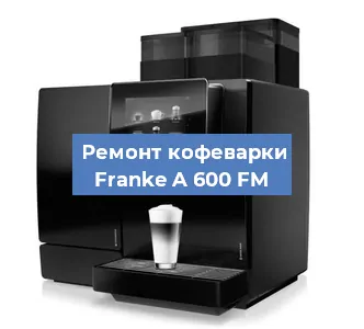 Ремонт капучинатора на кофемашине Franke A 600 FM в Санкт-Петербурге